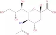 N-acetylneuraminic acid