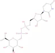 Trisodium UDP-glucuronic acid