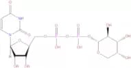 Uridine diphosphate xylose