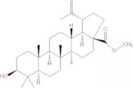 Betulinic acid methyl ester