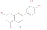 Luteolinidin chloride