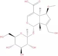 9-epi-6-Methoxygeniposidic acid