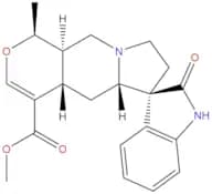 Isomitraphylline
