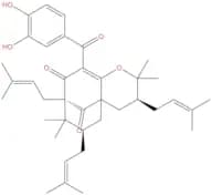 Isogarcinol