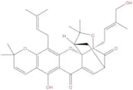 Isomorellinol