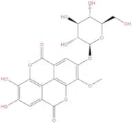 3-O-methylellagic acid 4-O-β-D-glucopyranoside