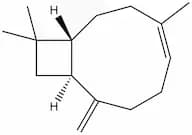 β-Caryophyllene