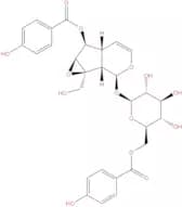 6'-O-p-Hydroxybenzoylcatalposide
