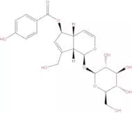 6-O-p-Hydroxybenzoylaucubin