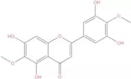 3',5,5',7-Tetrahydroxy-4',6-dimethoxyflavone