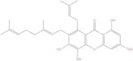 Garciniaxanthone E