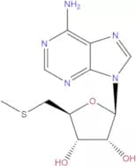 5'-S-Methyl-5'-thioadenosine