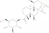 6β-Hydroxypaniculoside III