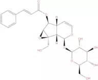 6-O-Cinnamoylcatalpol