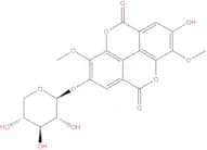 3-O-Methylducheside A
