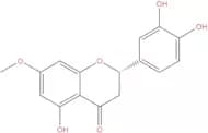 7-O-Methyleriodictyol