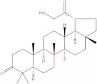 30-Hydroxylup-20(29)-en-3-one