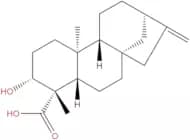 ent-3β-Hydroxykaur-16-en-19-oic acid