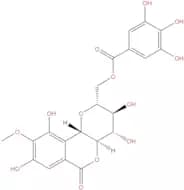 11-O-Galloylbergenin
