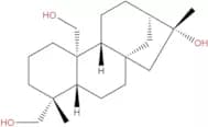 ent-Kaurane-16β,19,20-triol