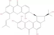 Bijaponicaxanthone C
