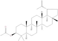 Lupeol acetate