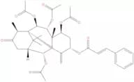 7β-Acetoxytaxuspine C
