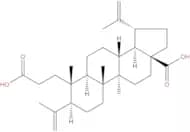 3,4-Secolupa-4(23),20(29)-diene-3,28-dioic acid