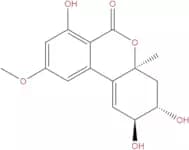 Altenuene