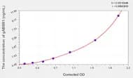 Human gABBR1(γ-Aminobutyric Acid B Receptor 1) ELISA Kit