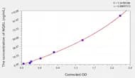 Mouse NGAL(Neutrophil Gelatinase Associated Lipocalin) ELISA Kit