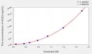 Human ACE2(Angiotensin I Converting Enzyme 2) ELISA Kit