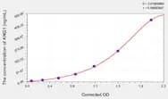 Human KNG1(Kininogen 1) ELISA Kit