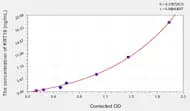 Mouse KRT19(Keratin 19) ELISA Kit