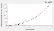 Rat CALB(Calbindin) ELISA Kit