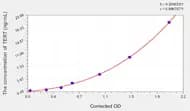 Rat TERT(Telomerase Reverse Transcriptase) ELISA Kit