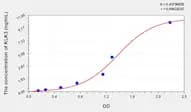 Simian KLK3(Kallikrein 3) ELISA Kit