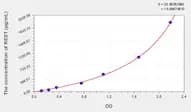 Human REST(RE1-Silencing Transcription Factor) ELISA Kit