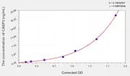 Human CASP3(Caspase 3) Microsample ELISA Kit