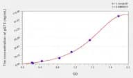 Human gGT5(γ-Glutamyltransferase 5) Microsample ELISA Kit