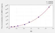 Human LAMC1(Laminin γ 1) Microsample ELISA Kit