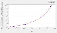 Human BHLHB8(Basic Helix Loop Helix Domain Containing Protein B8) Microsample ELISA Kit