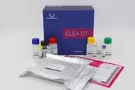 Mouse GDF5(Growth Differentiation Factor 5) ELISA Kit