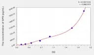 Human SPX(Spexin) Microsample ELISA Kit