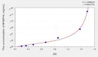 Human MYBPHL(Myosin-binding protein H-like) Microsample ELISA Kit