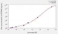 Human PTPRB(Protein Tyrosine Phosphatase Receptor Type B) ELISA Kit