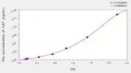 Horse CAT(Catalase) ELISA Kit