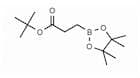 tert-Butyl 3-(4,4,5,5-tetramethyl-[1,3,2]dioxaborolan-2-yl) propionate