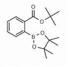 2-(tert-Butoxycarbonyl)phenylboronic acid pinacol ester
