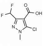 5-Chloro-3-(difluoromethyl)-1-methyl-1H-pyrazole-4-carboxylic Acid